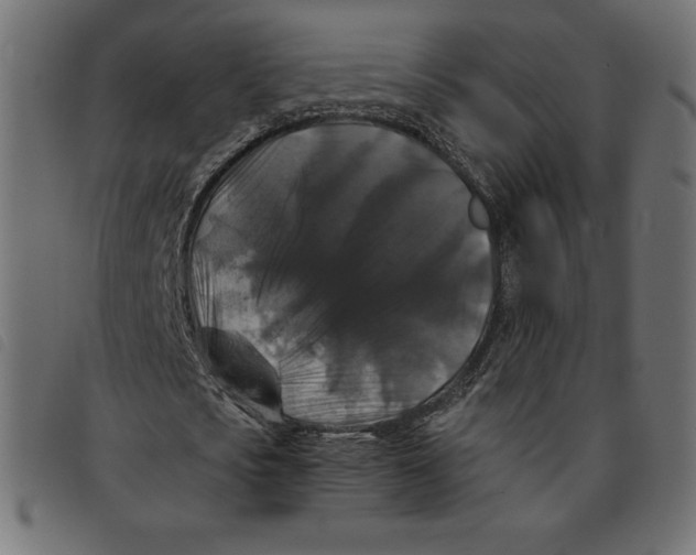 X0000092250721200710121258