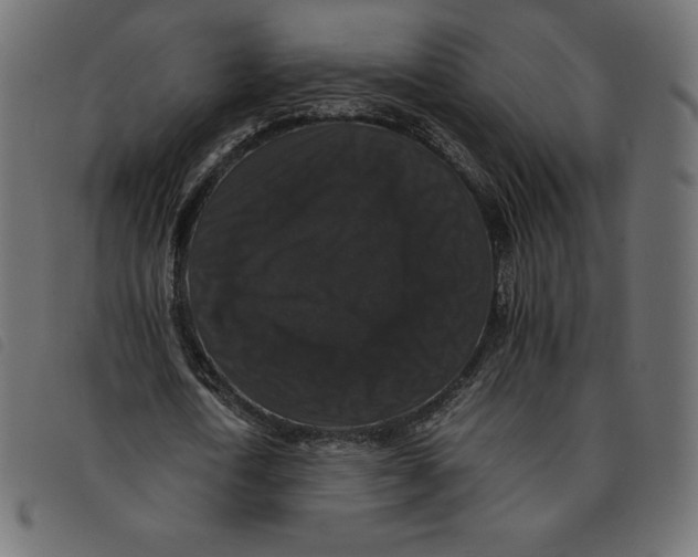 X0000092250722200710121258