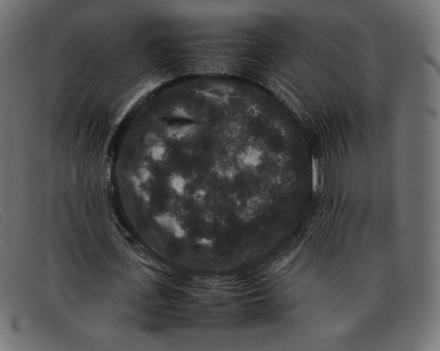 X0000092250723200710121258