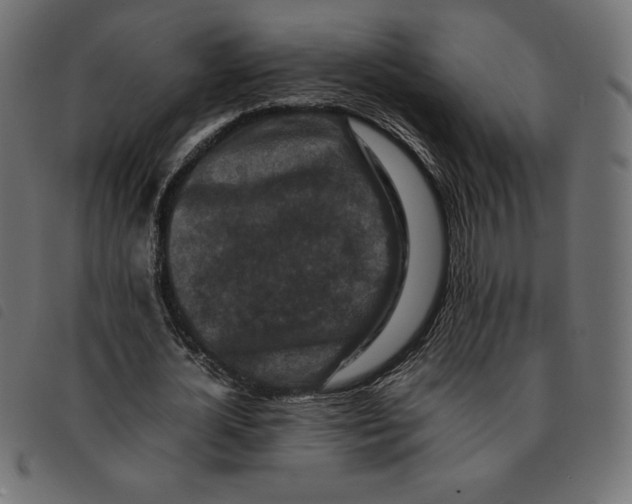 X0000092250724200710121258