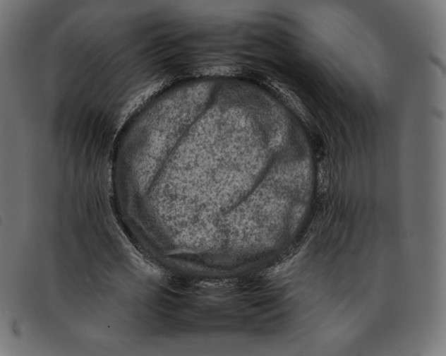 X0000092250725200710121258