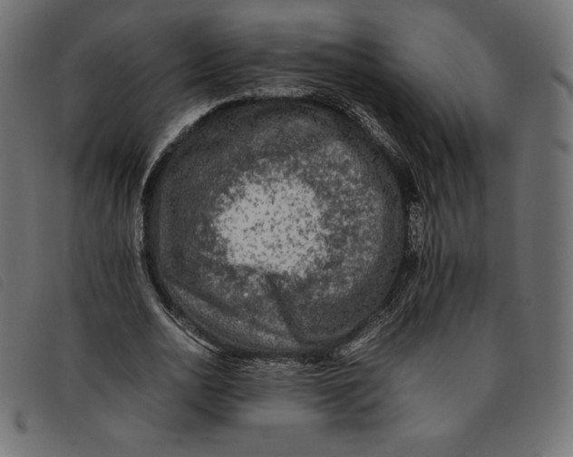 X0000092250726200710121258