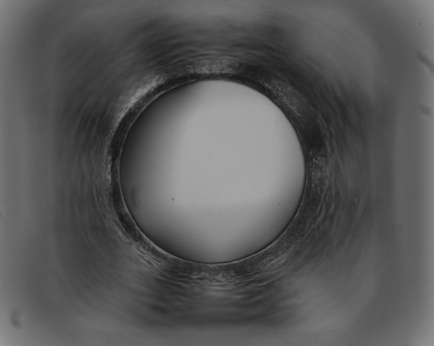 X0000092250727200710121258