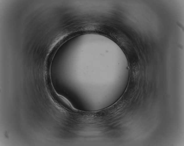 X0000092250728200710121258