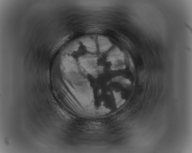 X0000092250729200710121258