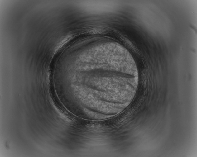 X0000092250730200710121258