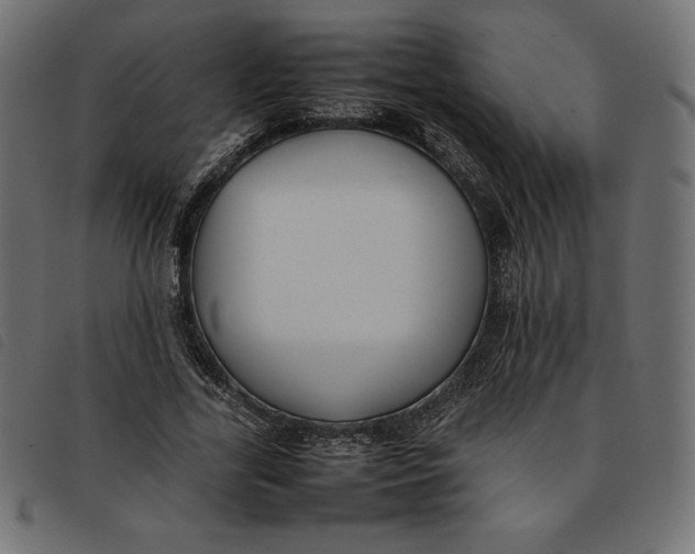 X0000092250731200710121258