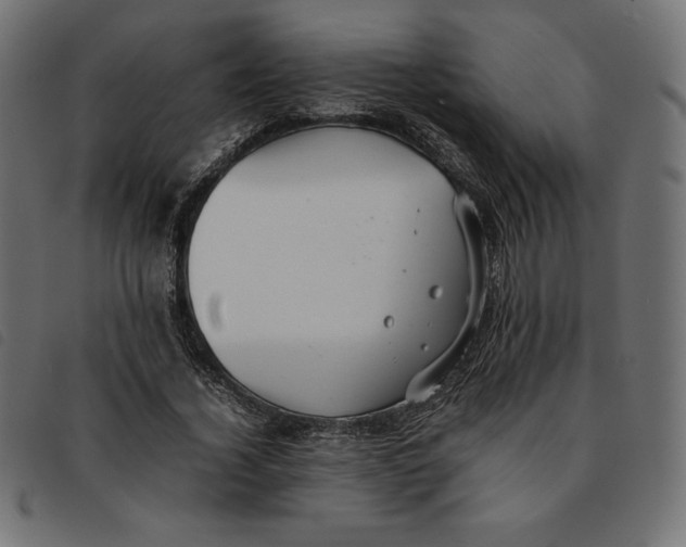 X0000092250732200710121258