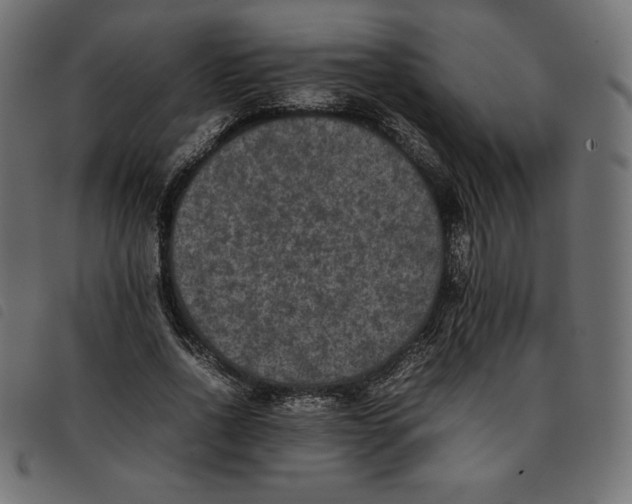 X0000092250734200710121258