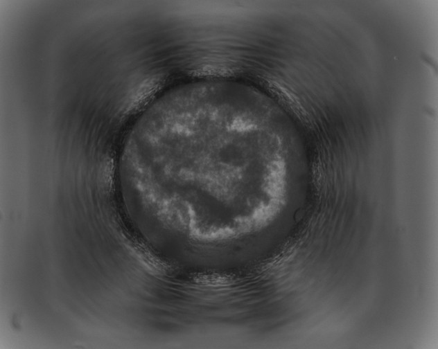 X0000092250735200710121258