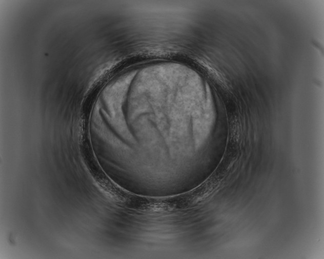 X0000092250736200710121258