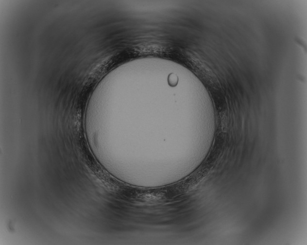 X0000092250737200710121258