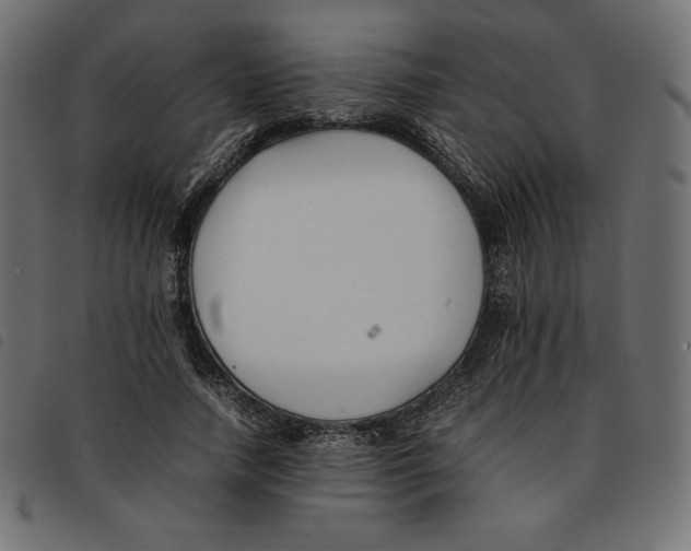 X0000092250738200710121258