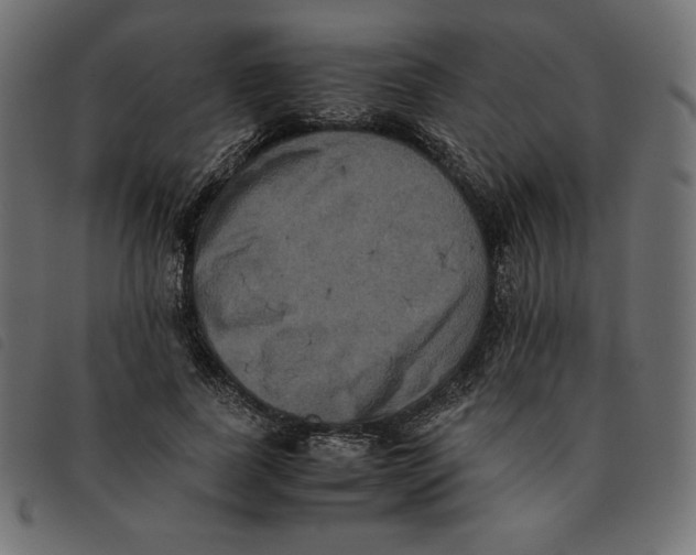 X0000092250739200710121258