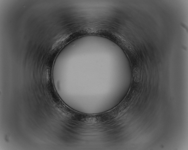 X0000092250740200710121258