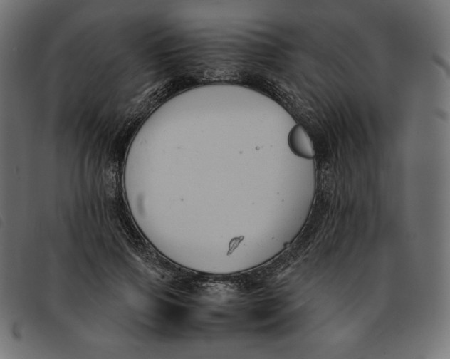 X0000092250741200710121258