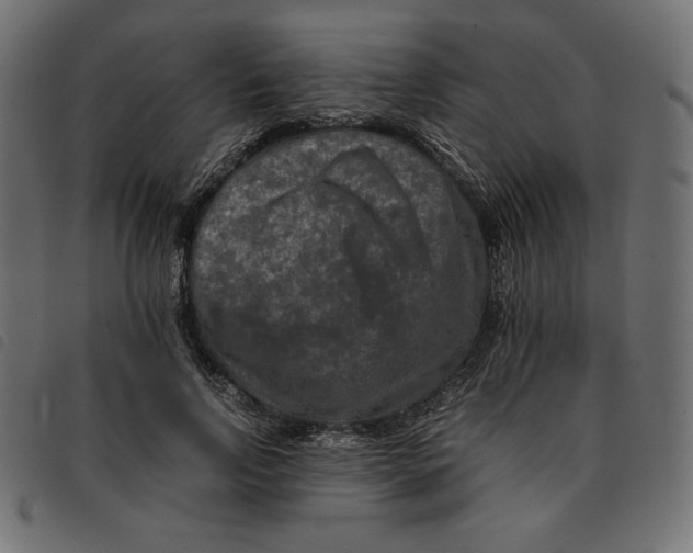 X0000092250742200710121258