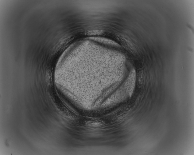 X0000092250743200710121258