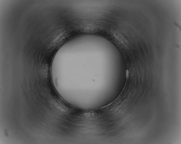 X0000092250744200710121258