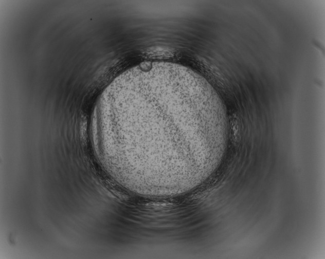 X0000092250745200710121259