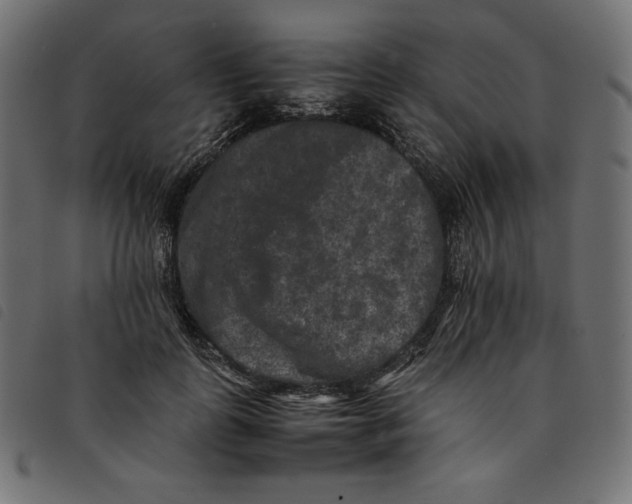 X0000092250747200710121259