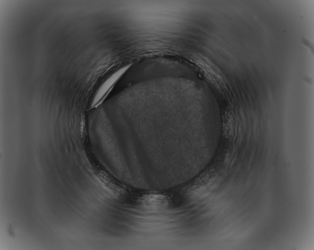 X0000092250748200710121259