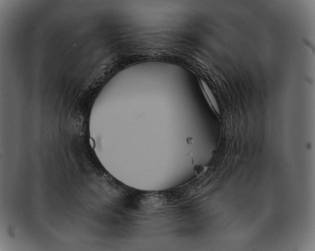 X0000092250750200710121259