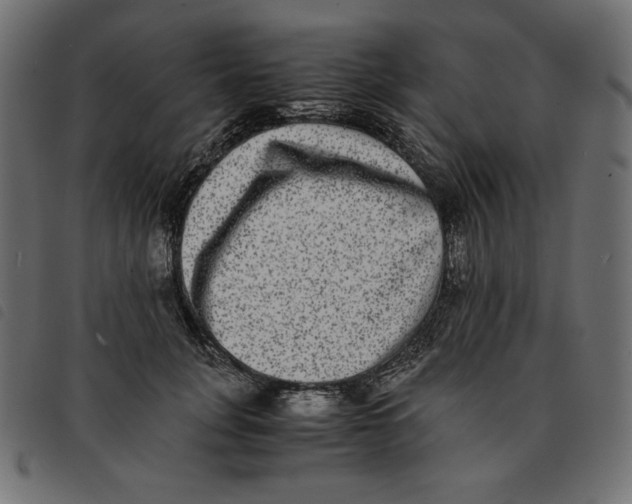 X0000092250751200710121259