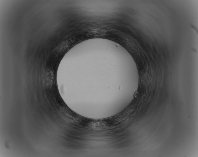 X0000092250752200710121259