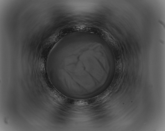 X0000092250754200710121259