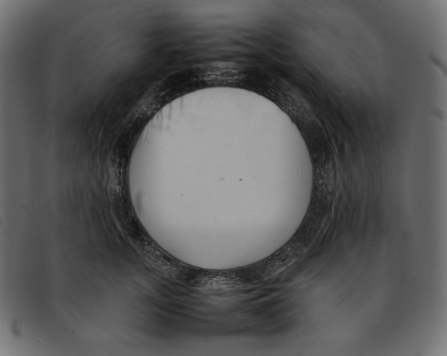 X0000092250755200710121259