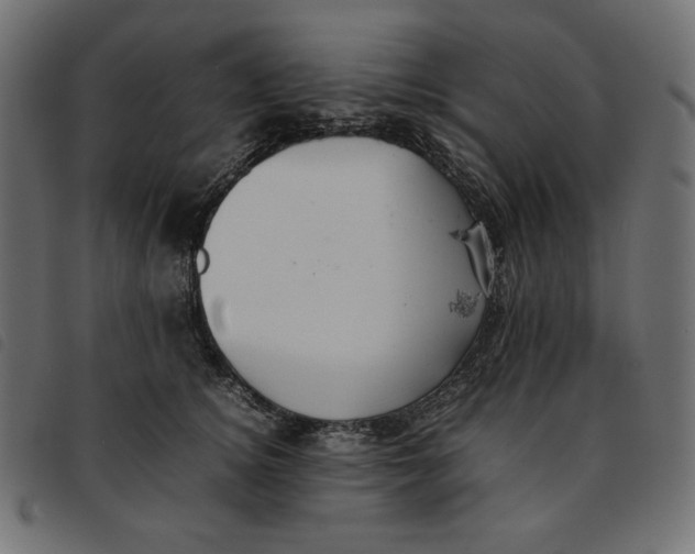 X0000092250756200710121259