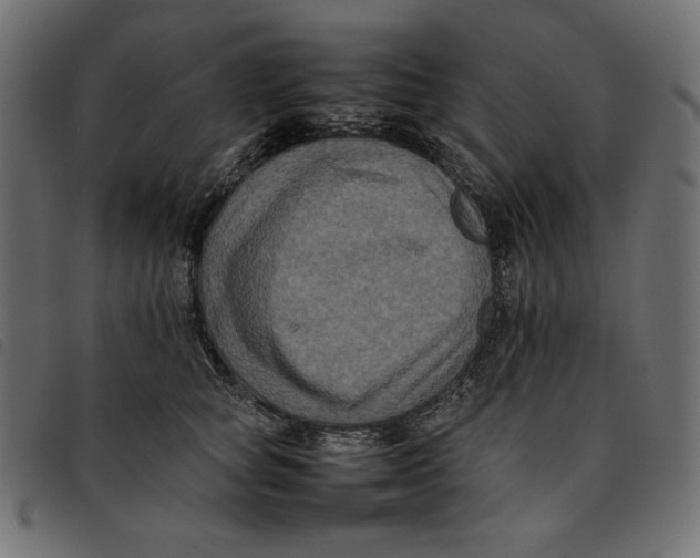 X0000092250757200710121259