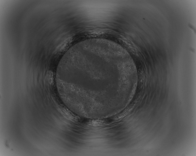 X0000092250758200710121259