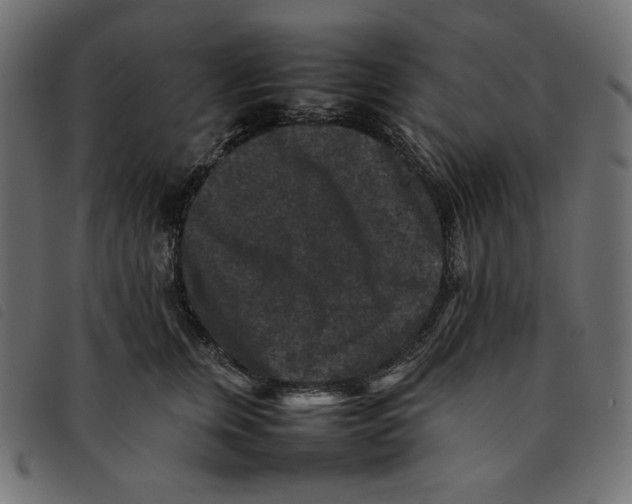 X0000092250759200710121259
