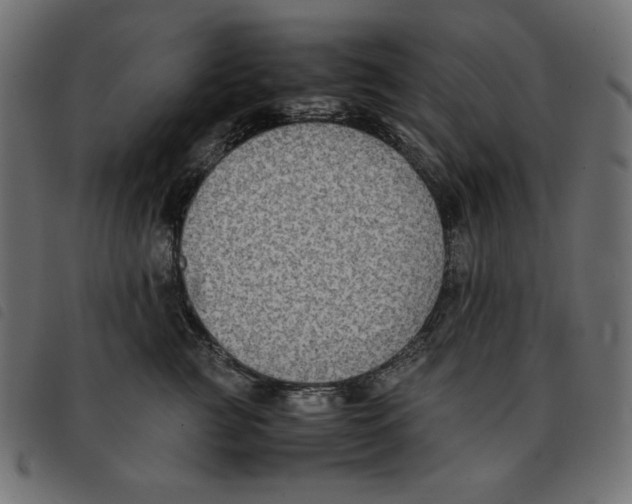 X0000092250761200710121259