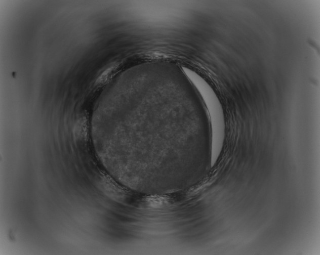 X0000092250762200710121259