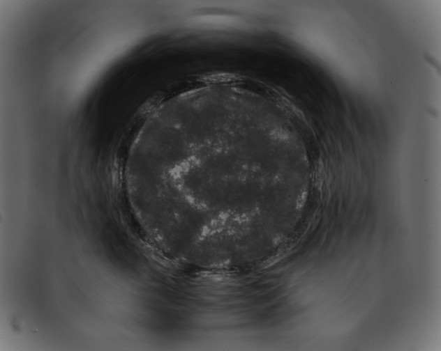 X0000092250763200710121259