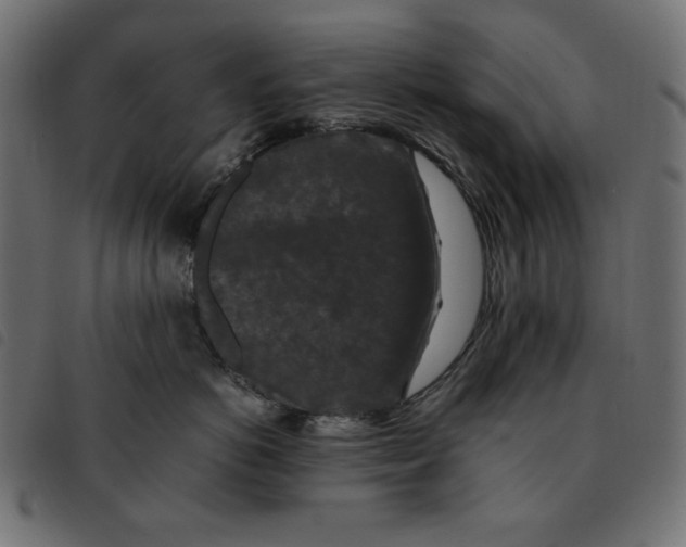 X0000092250766200710121259
