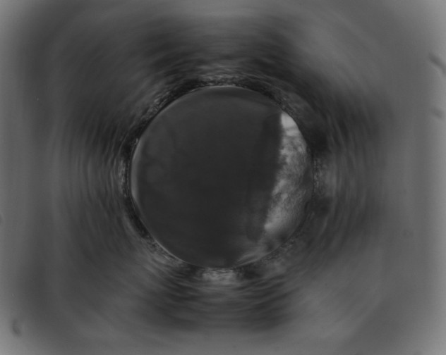 X0000092250767200710121259