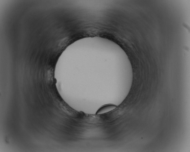 X0000092250768200710121259