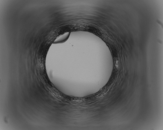 X0000092250771200710121258