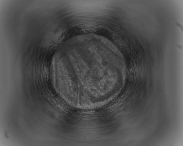 X0000092250772200710121258