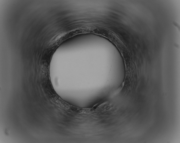 X0000092250773200710121258
