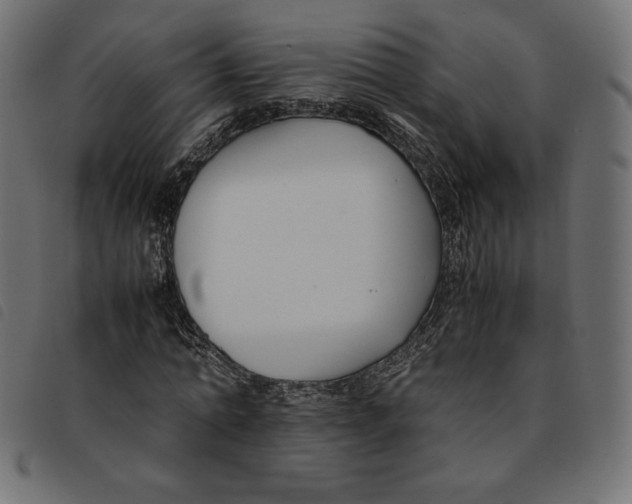 X0000092250774200710121258