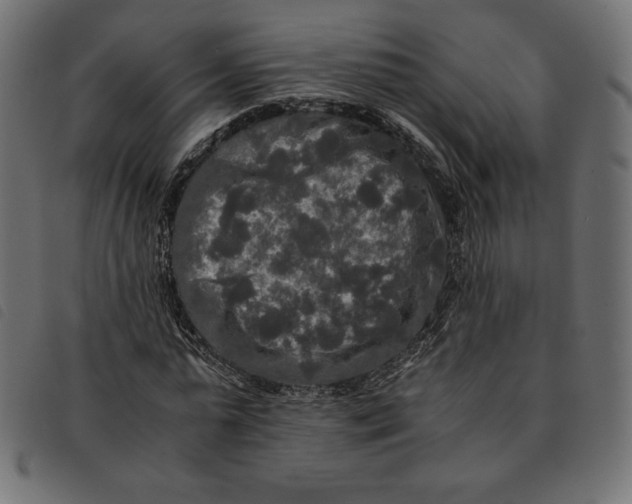 X0000092250775200710121258