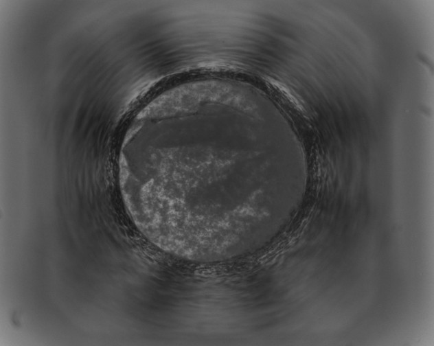 X0000092250776200710121258