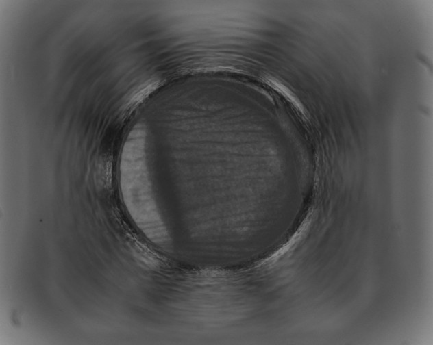 X0000092250777200710121258