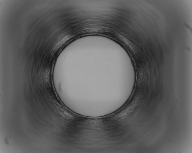 X0000092250778200710121258