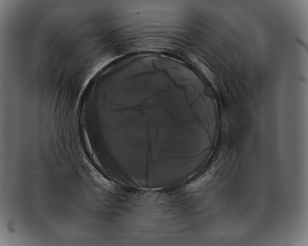 X0000092250779200710121258